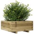 Jardinera de madera de pino impregnada 60x60x26,5