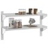 Estante de pared acero inoxidable plateado 100x23,5x60