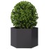 Jardinera hexagonal acero negra 69x60x45