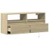 Mueble de TV de pared con luces LED roble Sonoma 100x31x45