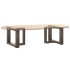 Patas de mesa centro forma T 2uds acero natural