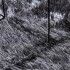Alfombra de pelo largo NAVARRA gris oscuro 240x240 cm