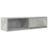 Mueble de TV madera contrachapada gris hormigón 100x31x25,5