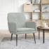 Sillón de terciopelo gris claro 62x79x79