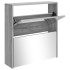 Mueble zapatero con espejo 2 niveles gris Sonoma 63x17x67