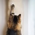 Quapas! Saco de escalada para gatos sisal 180