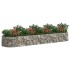Arriate de gaviones de hierro galvanizado 400x100x50