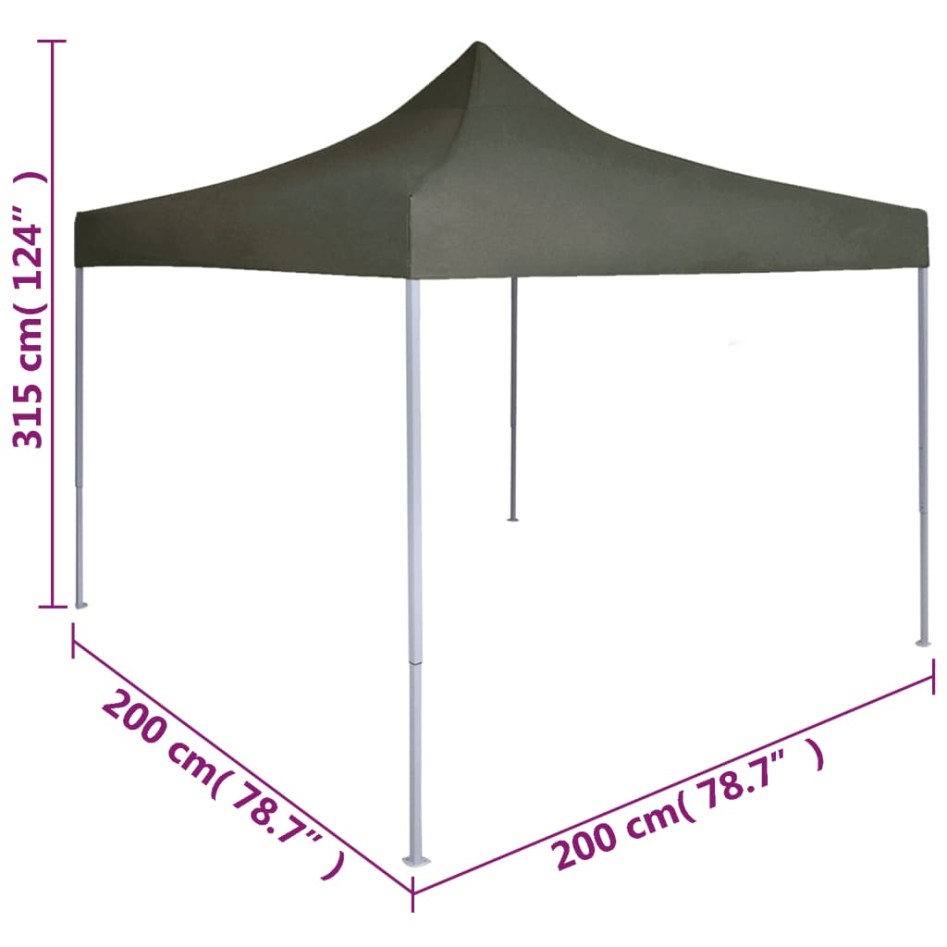 Carpa plegable profesional acero gris antracita 2x2
