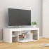Mueble para TV con luces LED blanco 120x35x40