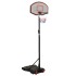 Canasta de baloncesto polietileno negro 216-250