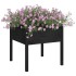 Jardineras 2 uds madera maciza de pino negro 70x70x70