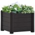 Arriate de jardín PP gris antracita 43x43x35