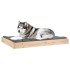 Cama para perros madera maciza de pino 101,5x74x9