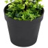 Planta de Boj artificial con macetero verde 100