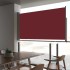 Toldo lateral retráctil de jardín rojo 160x300