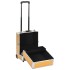 Maletín trolley de maquillaje aluminio dorado 35x29x45