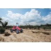 Kart de pedales Berg Case IH BFR