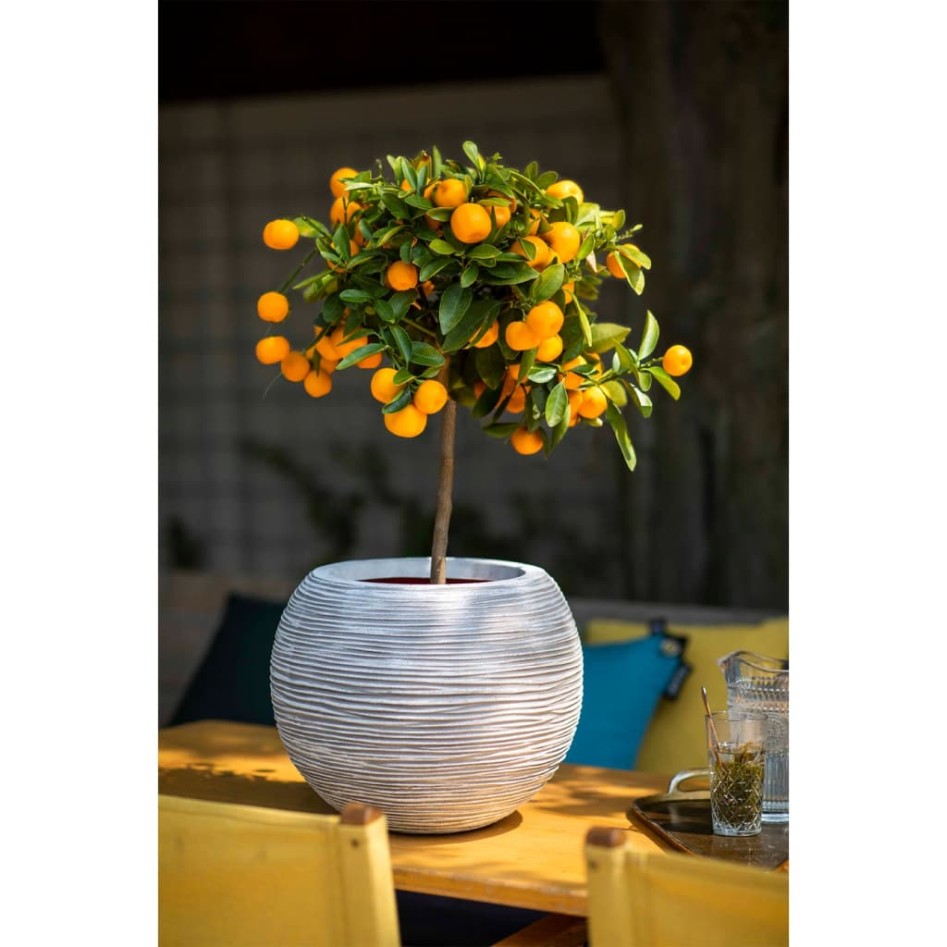 Capi Jarrón Nature Rib redondo marfil 40x32 cm