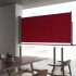 Toldo lateral retráctil de jardín rojo 120x300