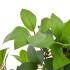 Planta artificial árbol de laurel con macetero 120 cm