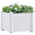 Arriate de jardín PP blanco 43x43x35