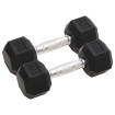Mancuernas 2 unidades hierro fundido 12 kg