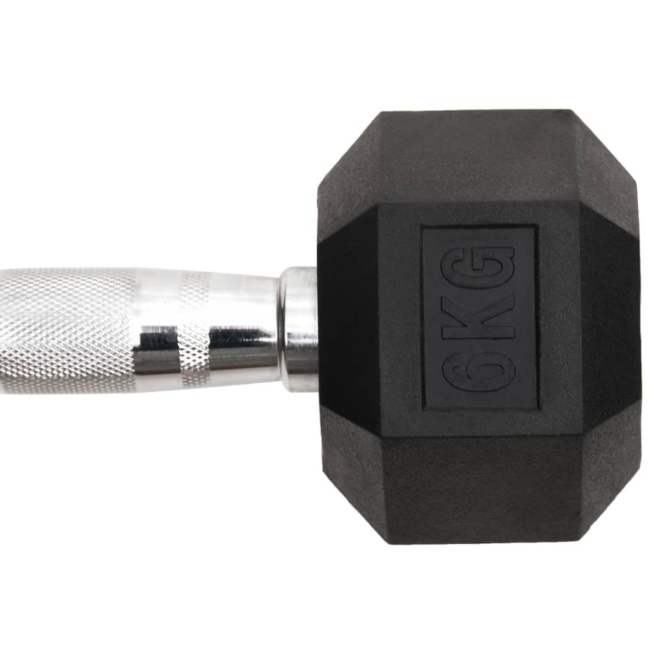 Mancuernas 2 unidades hierro fundido 12