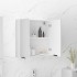 Armario de baño con espejo blanco 64x20x67