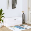 Mueble zapatero pared contrachapada blanco brillo 100x35x38 cm