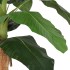 Árbol de plátano artificial 18 hojas verde 150