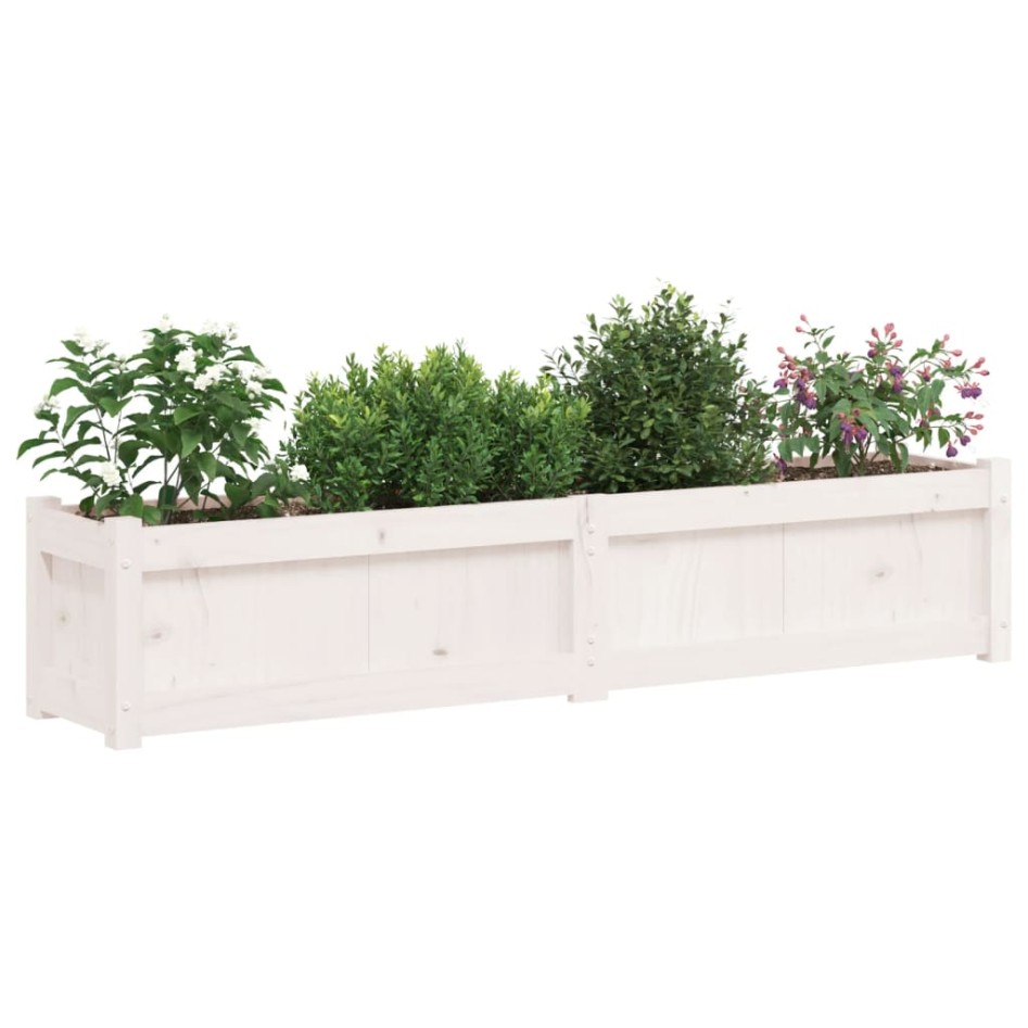 Jardinera de madera maciza de pino blanca 150x31x31