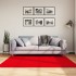 Alfombra de pelo corto suave lavable HUARTE rojo 160x160