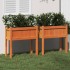 Jardineras con patas 2 uds madera maciza de pino marrón
