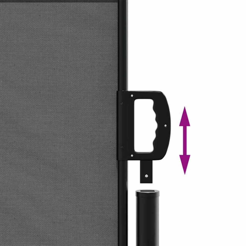 Toldo lateral retráctil gris antracita 120x600