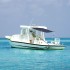 Toldo T-Top extensión azul marino 170x208x(115-183)