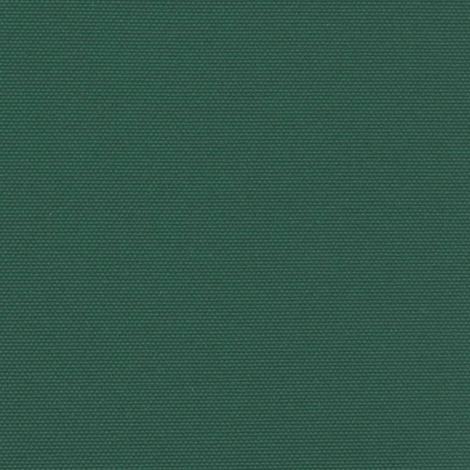 Toldo lateral retráctil verde oscuro 120x500