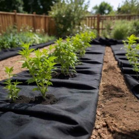 Membrana geotextil fibra de poliéster negro 1x10