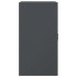 Aparador de acero gris antracita 34,5x39x73