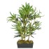 Árbol de bambú artificial con 368 hojas verde 80