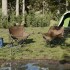 Sillas de camping con bolsillo plegables 2 unidades
