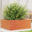 Jardinera de madera maciza pino marrón cera 60x60x23 cm