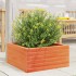 Jardinera de madera maciza pino marrón cera 60x60x23
