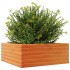 Jardinera de madera maciza pino marrón cera 60x60x23