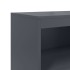 Aparador de acero gris antracita 68,5x38,5x123,5
