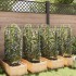 Tutores para tomates 8 unidades acero y PP 116