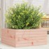 Jardinera de madera maciza Douglas 50x50x23