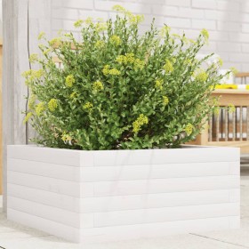Jardinera de madera maciza de pino blanco 50x50x23