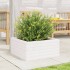 Jardinera de madera maciza de pino blanco 50x50x23