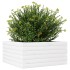 Jardinera de madera maciza de pino blanco 50x50x23