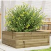 Jardinera de madera de pino impregnada 60x60x23 cm